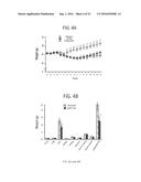 Peptide for Suppressing and Treating Obesity diagram and image