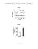 Peptide for Suppressing and Treating Obesity diagram and image