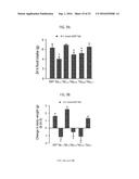 Peptide for Suppressing and Treating Obesity diagram and image