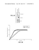 METHODS OF TREATING AND PREVENTING CANCER DRUG RESISTANCE diagram and image