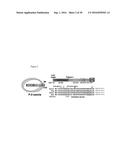 PERFORIN-2 ACTIVATORS AND INHIBITORS AS DRUG TARGETS FOR INFECTIOUS     DISEASE AND GUT INFLAMMATION diagram and image