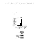 PERFORIN-2 ACTIVATORS AND INHIBITORS AS DRUG TARGETS FOR INFECTIOUS     DISEASE AND GUT INFLAMMATION diagram and image