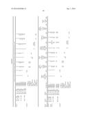 POLYVALENT CONJUGATE VACCINE FOR CANCER diagram and image