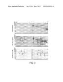 GALECTIN-3 AS IMMUNOLOGICAL TARGET diagram and image