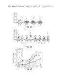 GALECTIN-3 AS IMMUNOLOGICAL TARGET diagram and image