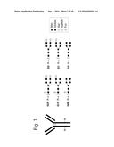 MODIFIED GLYCOPROTEIN, PROTEIN-CONJUGATE AND PROCESS FOR THE PREPARATION     THEREOF diagram and image