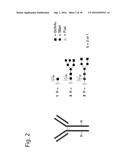 MODIFIED GLYCOPROTEIN, PROTEIN-CONJUGATE AND PROCESS FOR THE PREPARATION     THEREOF diagram and image