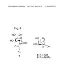 MODIFIED GLYCOPROTEIN, PROTEIN-CONJUGATE AND PROCESS FOR THE PREPARATION     THEREOF diagram and image