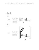 MODIFIED GLYCOPROTEIN, PROTEIN-CONJUGATE AND PROCESS FOR THE PREPARATION     THEREOF diagram and image