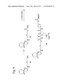 MODIFIED GLYCOPROTEIN, PROTEIN-CONJUGATE AND PROCESS FOR THE PREPARATION     THEREOF diagram and image