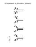 MODIFIED GLYCOPROTEIN, PROTEIN-CONJUGATE AND PROCESS FOR THE PREPARATION     THEREOF diagram and image