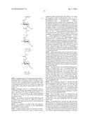 MODIFIED GLYCOPROTEIN, PROTEIN-CONJUGATE AND PROCESS FOR THE PREPARATION     THEREOF diagram and image