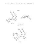 DELIVERY SYSTEM FOR CYTOTOXIC DRUGS BY BISPECIFIC ANTIBODY PRETARGETING diagram and image