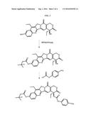 DELIVERY SYSTEM FOR CYTOTOXIC DRUGS BY BISPECIFIC ANTIBODY PRETARGETING diagram and image