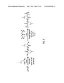 RESORBABLE, AMINO ACID-BASED POLY(ESTER UREA)S SCAFFOLD FOR VASCULAR GRAFT     TISSUE ENGINEERING diagram and image