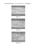 MICROCONTACT PRINTING STAMPS WITH FUNCTIONAL FEATURES diagram and image