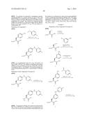 MODIFIED AMINO ACIDS COMPRISING TETRAZINE FUNCTIONAL GROUPS, METHODS OF     PREPARATION, AND METHODS OF THEIR USE diagram and image