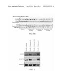 INHIBITORS OF HISTONE DEACETYLASE diagram and image