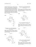 Method of Treatment Using Substituted Imidazo[1,2b]Pyridazine Compounds diagram and image