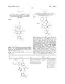 NOVEL COMPOUNDS diagram and image