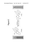 MOLECULAR SWITCHES BASED ON CIS/TRANS ISOMERIZATION OF BF2-COORDINATED AZO     COMPOUNDS diagram and image