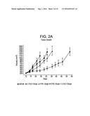 COMBINATION OF ANGIOPOIETIN-2 ANTAGONIST AND OF VEGF-A, KDR AND/OR FLT1     ANTAGONIST FOR TREATING CANCER diagram and image