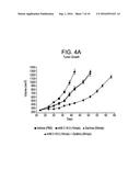 COMBINATION OF ANGIOPOIETIN-2 ANTAGONIST AND OF VEGF-A, KDR AND/OR FLT1     ANTAGONIST FOR TREATING CANCER diagram and image