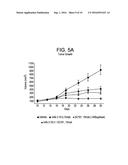 COMBINATION OF ANGIOPOIETIN-2 ANTAGONIST AND OF VEGF-A, KDR AND/OR FLT1     ANTAGONIST FOR TREATING CANCER diagram and image