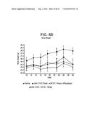 COMBINATION OF ANGIOPOIETIN-2 ANTAGONIST AND OF VEGF-A, KDR AND/OR FLT1     ANTAGONIST FOR TREATING CANCER diagram and image