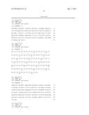 COMBINATION OF ANGIOPOIETIN-2 ANTAGONIST AND OF VEGF-A, KDR AND/OR FLT1     ANTAGONIST FOR TREATING CANCER diagram and image