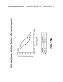 Anti-DLL3 antibody drug conjugates diagram and image