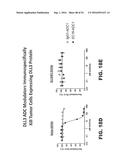 Anti-DLL3 antibody drug conjugates diagram and image