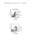 NOVEL RECEPTOR TREM (TRIGGERING RECEPTOR EXPRESSED ON MYELOID CELLS) AND     USES THEREOF diagram and image