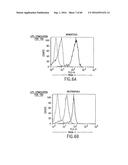 NOVEL RECEPTOR TREM (TRIGGERING RECEPTOR EXPRESSED ON MYELOID CELLS) AND     USES THEREOF diagram and image