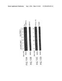 NOVEL RECEPTOR TREM (TRIGGERING RECEPTOR EXPRESSED ON MYELOID CELLS) AND     USES THEREOF diagram and image