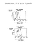 NOVEL RECEPTOR TREM (TRIGGERING RECEPTOR EXPRESSED ON MYELOID CELLS) AND     USES THEREOF diagram and image