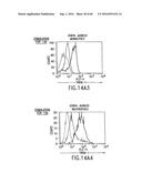 NOVEL RECEPTOR TREM (TRIGGERING RECEPTOR EXPRESSED ON MYELOID CELLS) AND     USES THEREOF diagram and image