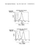 NOVEL RECEPTOR TREM (TRIGGERING RECEPTOR EXPRESSED ON MYELOID CELLS) AND     USES THEREOF diagram and image