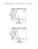 NOVEL RECEPTOR TREM (TRIGGERING RECEPTOR EXPRESSED ON MYELOID CELLS) AND     USES THEREOF diagram and image