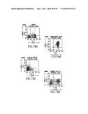 NOVEL RECEPTOR TREM (TRIGGERING RECEPTOR EXPRESSED ON MYELOID CELLS) AND     USES THEREOF diagram and image