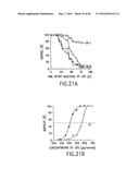 NOVEL RECEPTOR TREM (TRIGGERING RECEPTOR EXPRESSED ON MYELOID CELLS) AND     USES THEREOF diagram and image