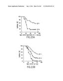 NOVEL RECEPTOR TREM (TRIGGERING RECEPTOR EXPRESSED ON MYELOID CELLS) AND     USES THEREOF diagram and image