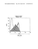 NOVEL RECEPTOR TREM (TRIGGERING RECEPTOR EXPRESSED ON MYELOID CELLS) AND     USES THEREOF diagram and image