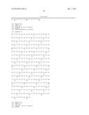 BISPECIFIC NANOBODIES diagram and image