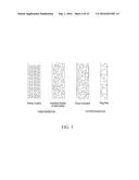 Methods and Apparatuses for Removal of Hydrogen Sulfide and Carbon Dioxide     from Biogas diagram and image