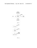 SYSTEM FOR RECYCLING WATER TO FACILITATE THE PRODUCTION OF ETHANOL diagram and image