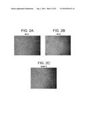 DEFINED MEDIA FOR EXPANSION AND MAINTENANCE OF PLURIPOTENT STEM CELLS diagram and image