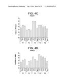 DEFINED MEDIA FOR EXPANSION AND MAINTENANCE OF PLURIPOTENT STEM CELLS diagram and image