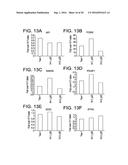 DEFINED MEDIA FOR EXPANSION AND MAINTENANCE OF PLURIPOTENT STEM CELLS diagram and image