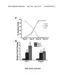 SUBSTANTIALLY PURE HUMAN RETINAL PROGENITOR, FOREBRAIN PROGENITOR, AND     RETINAL PIGMENT EPITHELIUM CELL CULTURES AND METHODS OF MAKING THE SAME diagram and image